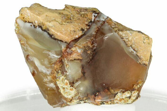 Rough Oregon Fire Opal #330540